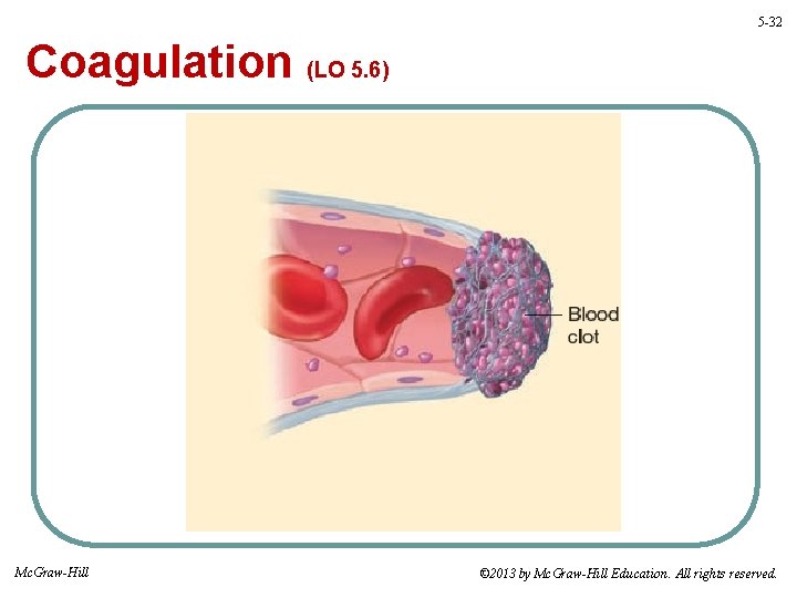 5 -32 Coagulation (LO 5. 6) Mc. Graw-Hill © 2013 by Mc. Graw-Hill Education.