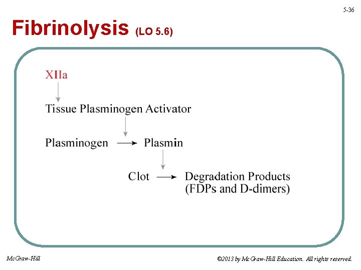 5 -36 Fibrinolysis (LO 5. 6) Mc. Graw-Hill © 2013 by Mc. Graw-Hill Education.