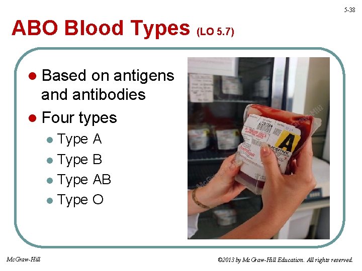 5 -38 ABO Blood Types (LO 5. 7) l Based on antigens and antibodies