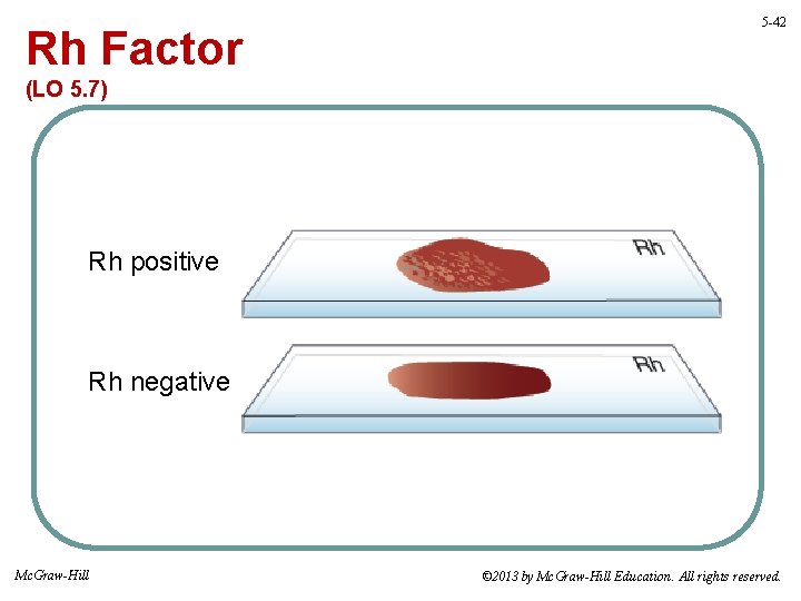 Rh Factor 5 -42 (LO 5. 7) Rh positive Rh negative Mc. Graw-Hill ©