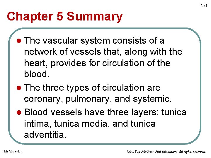 5 -45 Chapter 5 Summary l The vascular system consists of a network of