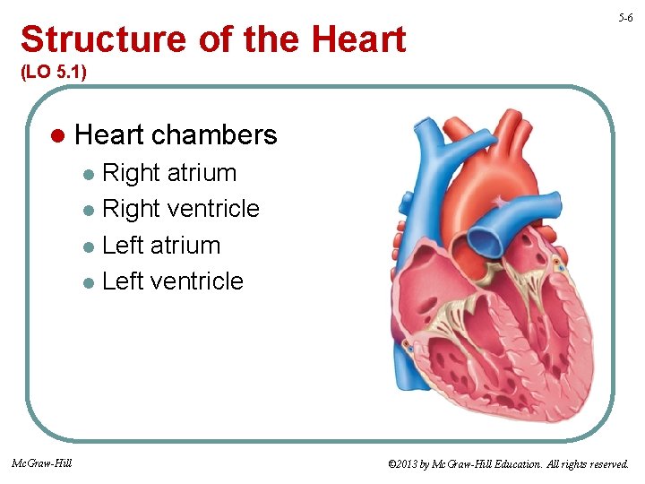 Structure of the Heart 5 -6 (LO 5. 1) l Heart chambers Right atrium