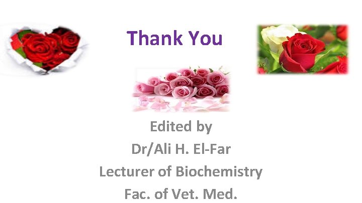Thank You Edited by Dr/Ali H. El-Far Lecturer of Biochemistry Fac. of Vet. Med.