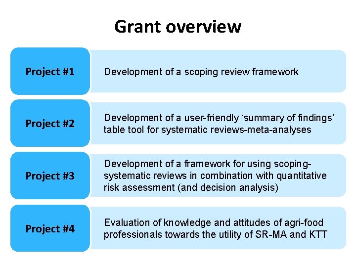 Grant overview Project #1 Development of a scoping review framework Project #2 Development of