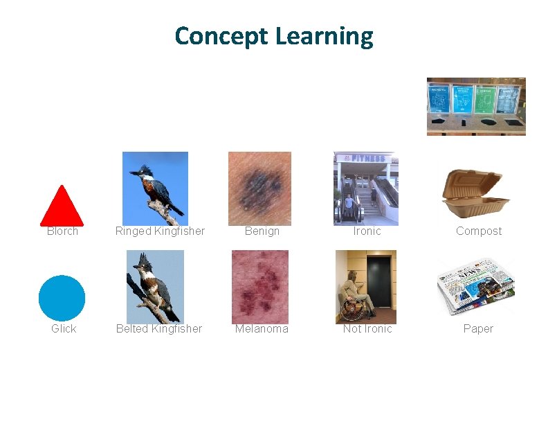 Concept Learning Blorch Ringed Kingfisher Benign Ironic Compost Glick Belted Kingfisher Melanoma Not Ironic