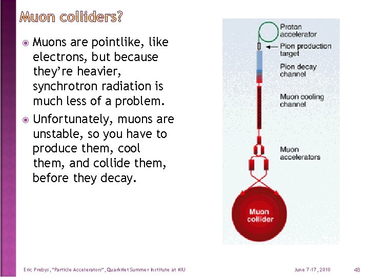 Muons are pointlike, like electrons, but because they’re heavier, synchrotron radiation is much less