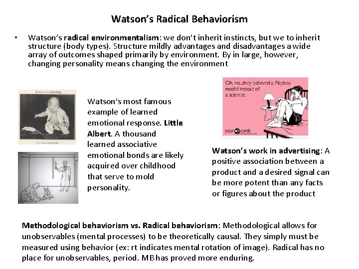 Watson’s Radical Behaviorism • Watson’s radical environmentalism: we don’t inherit instincts, but we to