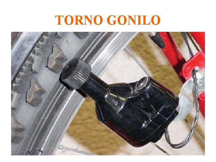 TORNO GONILO 