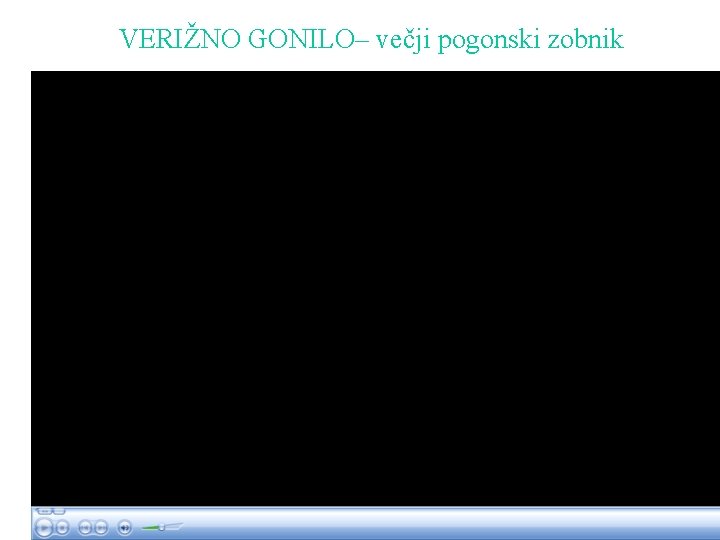 VERIŽNO GONILO– večji pogonski zobnik 