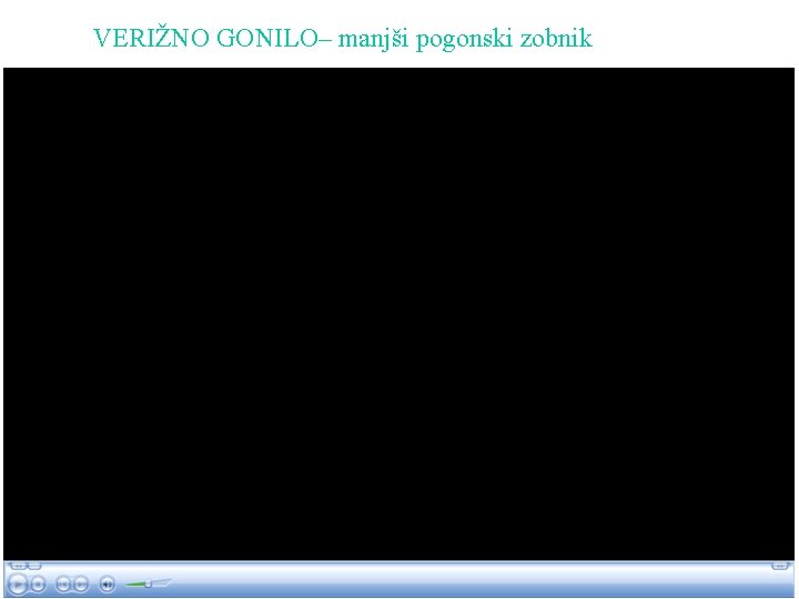VERIŽNO GONILO– manjši pogonski zobnik 