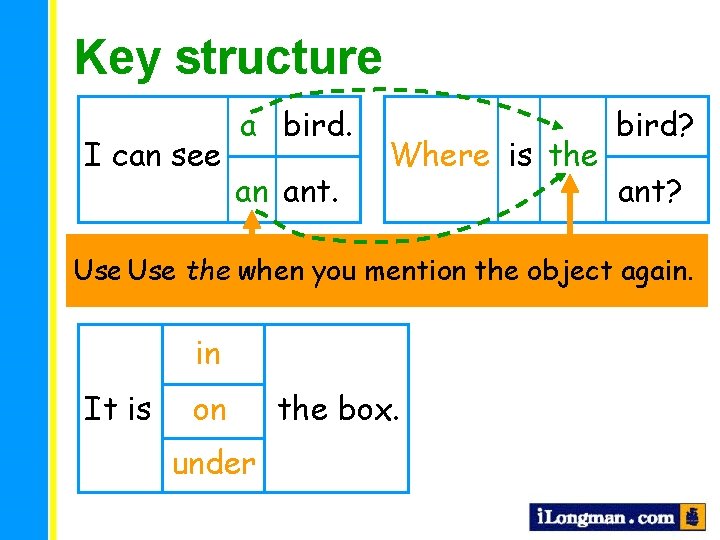 Key structure I can see a bird. an ant. Where is the bird? ant?