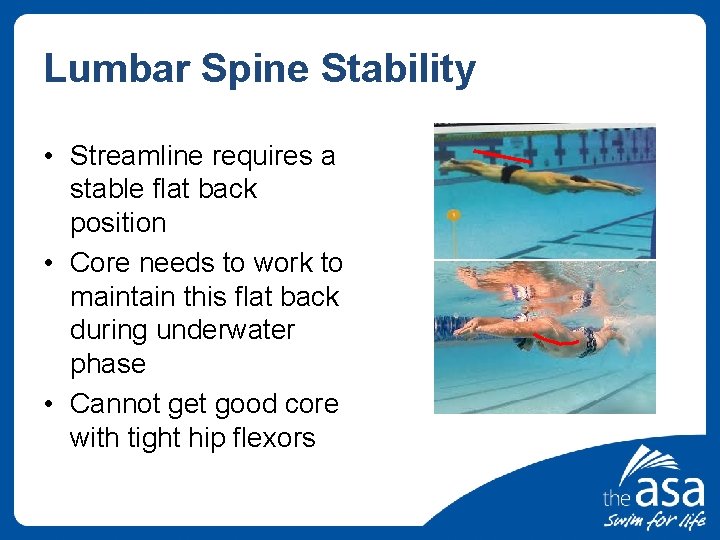 Lumbar Spine Stability • Streamline requires a stable flat back position • Core needs