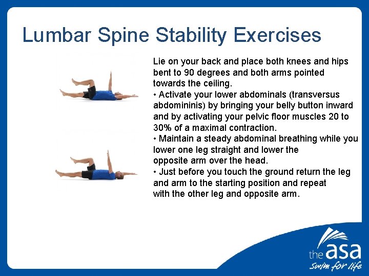 Lumbar Spine Stability Exercises Lie on your back and place both knees and hips