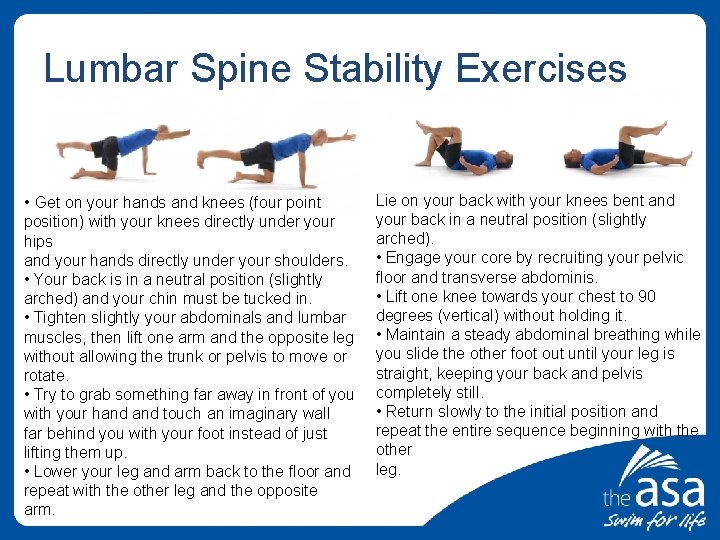 Lumbar Spine Stability Exercises • Get on your hands and knees (four point position)