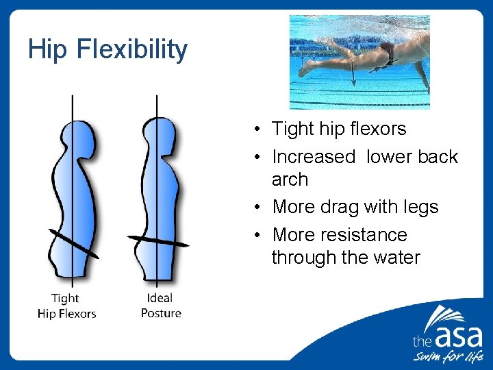 Hip Flexibility • Tight hip flexors • Increased lower back arch • More drag
