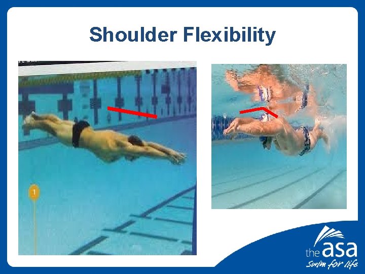 Shoulder Flexibility 