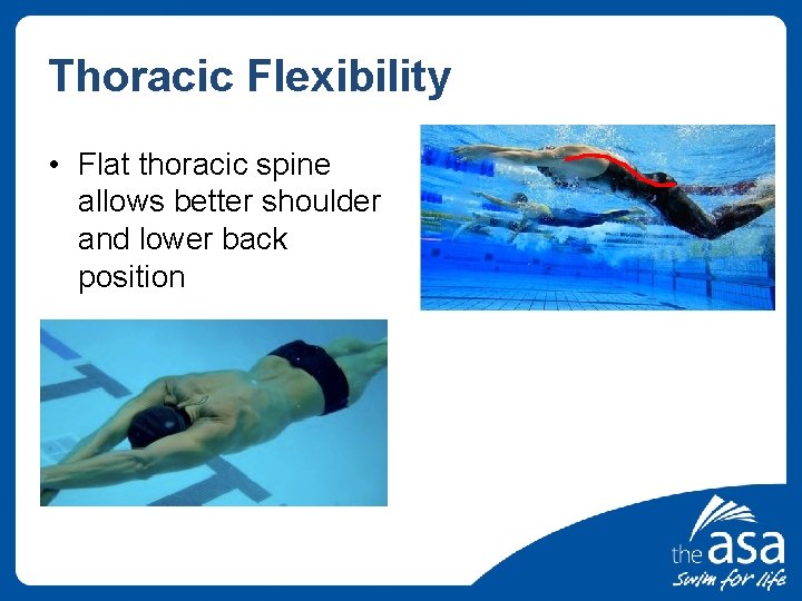 Thoracic Flexibility • Flat thoracic spine allows better shoulder and lower back position 