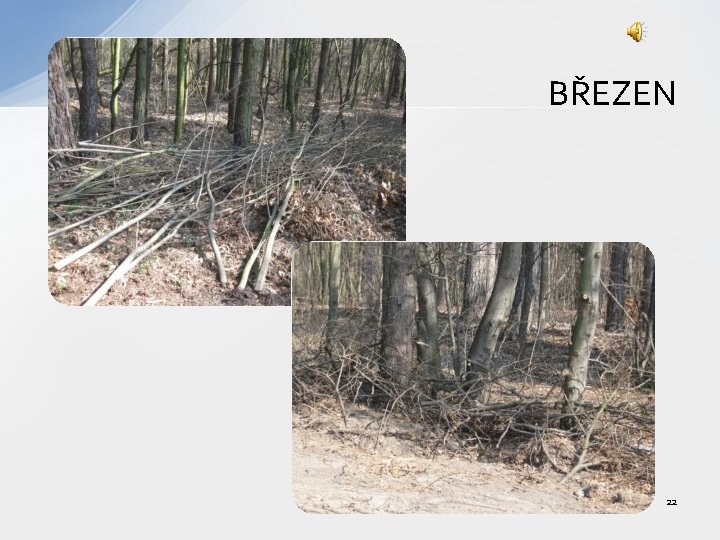 BŘEZEN 22 