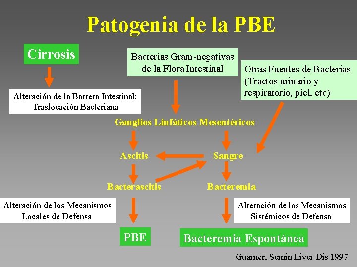 Patogenia de la PBE Cirrosis Bacterias Gram-negativas de la Flora Intestinal Otras Fuentes de