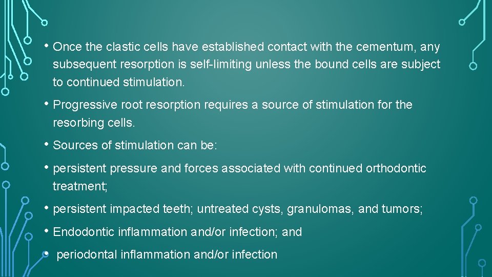  • Once the clastic cells have established contact with the cementum, any subsequent