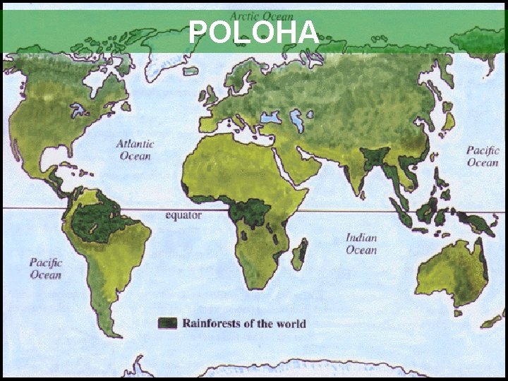 POLOHA 