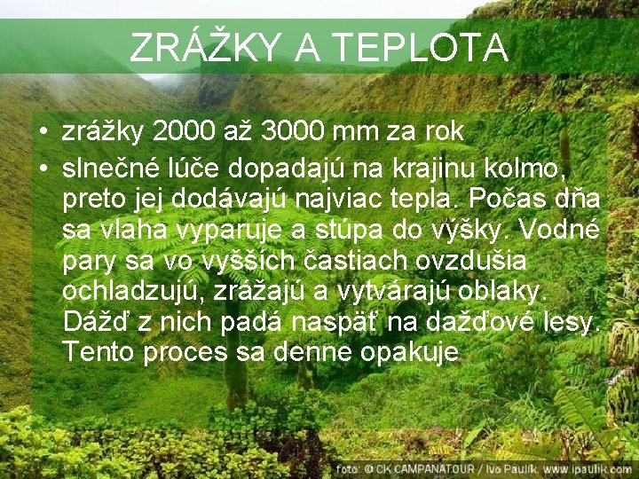 ZRÁŽKY A TEPLOTA • zrážky 2000 až 3000 mm za rok • slnečné lúče