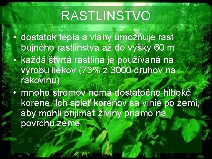 RASTLINSTVO • dostatok tepla a vlahy umožňuje rast bujného rastlinstva až do výšky 60