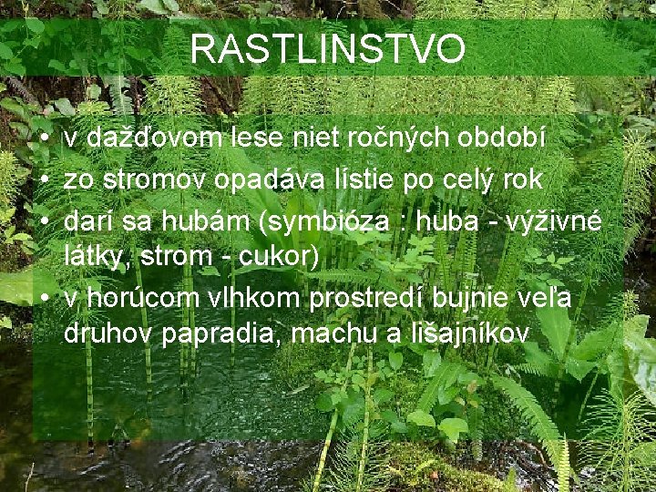 RASTLINSTVO • v dažďovom lese niet ročných období • zo stromov opadáva lístie po