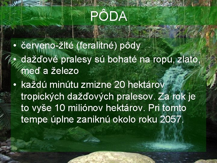 PÔDA • červeno-žlté (feralitné) pôdy • dažďové pralesy sú bohaté na ropu, zlato, meď