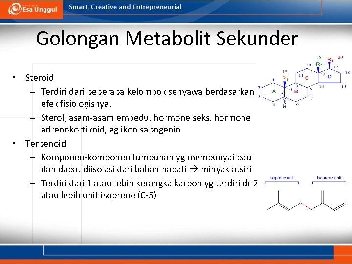 Golongan Metabolit Sekunder • Steroid – Terdiri dari beberapa kelompok senyawa berdasarkan efek fisiologisnya.