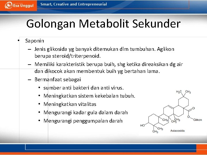 Golongan Metabolit Sekunder • Saponin – Jenis glikosida yg banyak ditemukan dlm tumbuhan. Aglikon