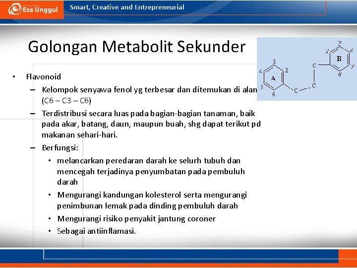 Golongan Metabolit Sekunder • Flavonoid – Kelompok senyawa fenol yg terbesar dan ditemukan di
