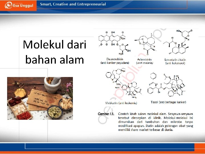 Molekul dari bahan alam 