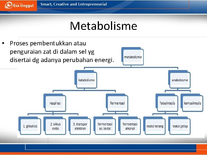 Metabolisme • Proses pembentukkan atau penguraian zat di dalam sel yg disertai dg adanya