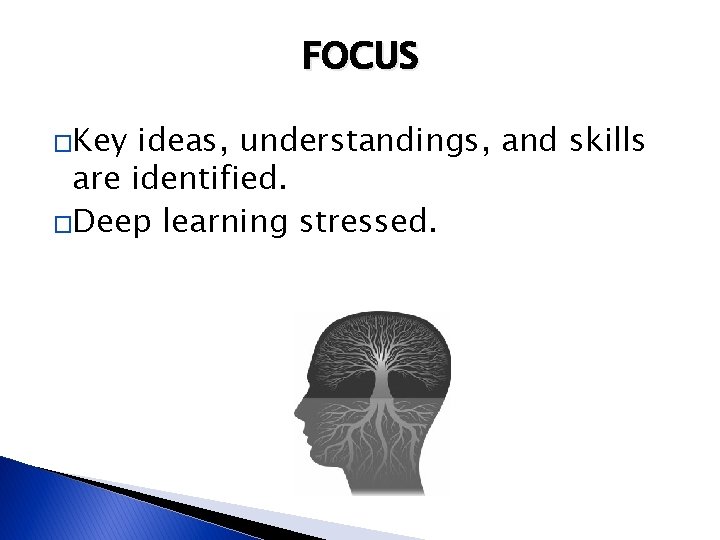 FOCUS �Key ideas, understandings, and skills are identified. �Deep learning stressed. 