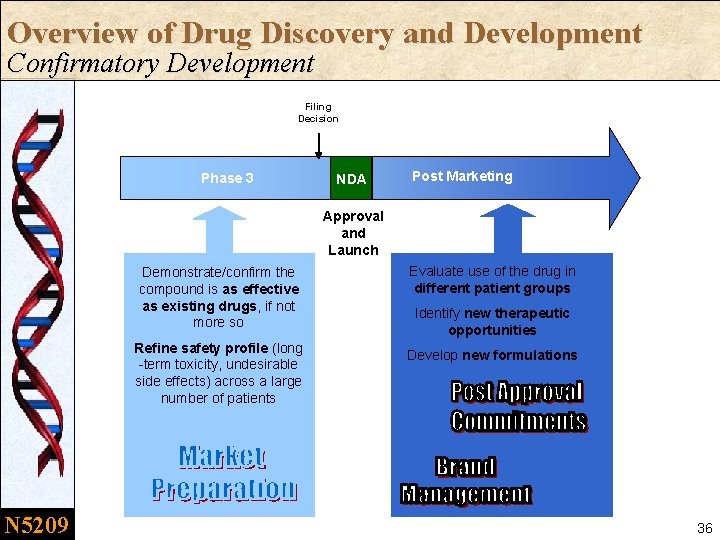 Overview of Drug Discovery and Development Confirmatory Development Filing Decision Phase 3 NDA Post