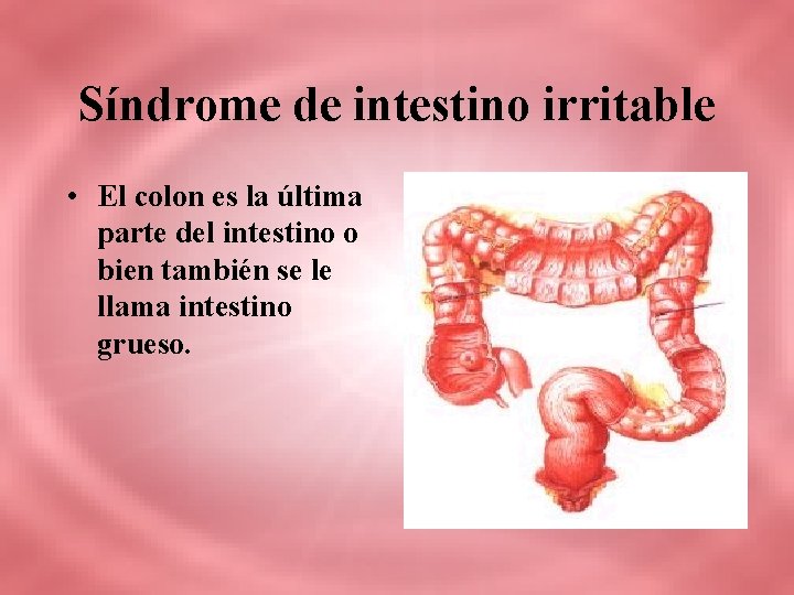 Síndrome de intestino irritable • El colon es la última parte del intestino o