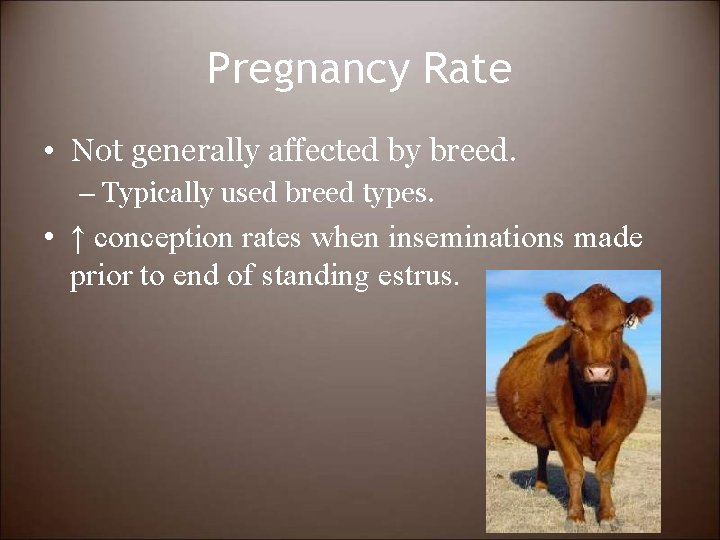 Pregnancy Rate • Not generally affected by breed. – Typically used breed types. •