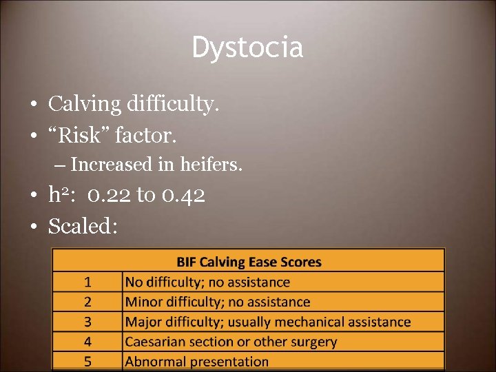 Dystocia • Calving difficulty. • “Risk” factor. – Increased in heifers. • h 2: