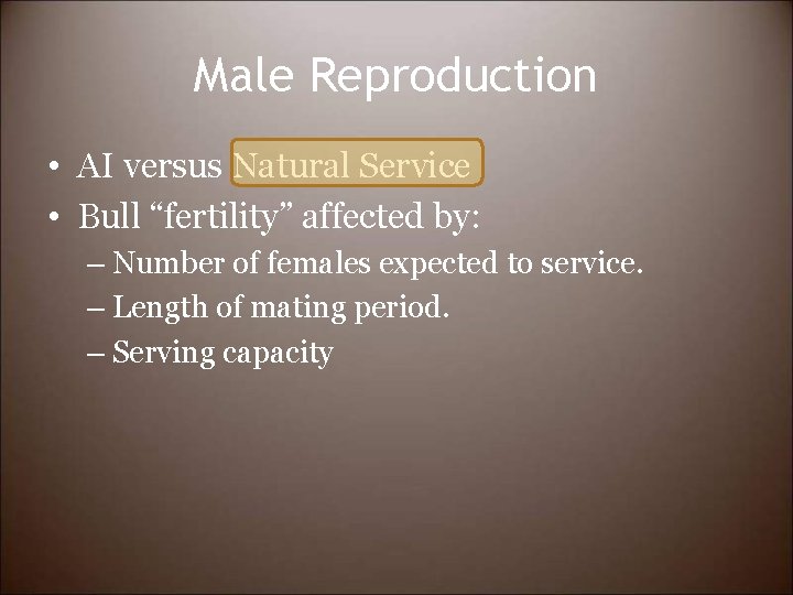 Male Reproduction • AI versus Natural Service • Bull “fertility” affected by: – Number