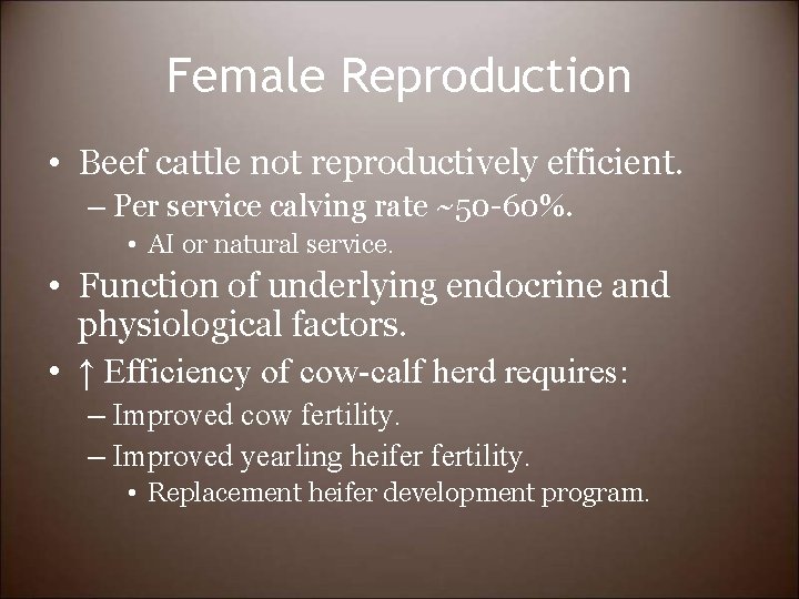 Female Reproduction • Beef cattle not reproductively efficient. – Per service calving rate ~50