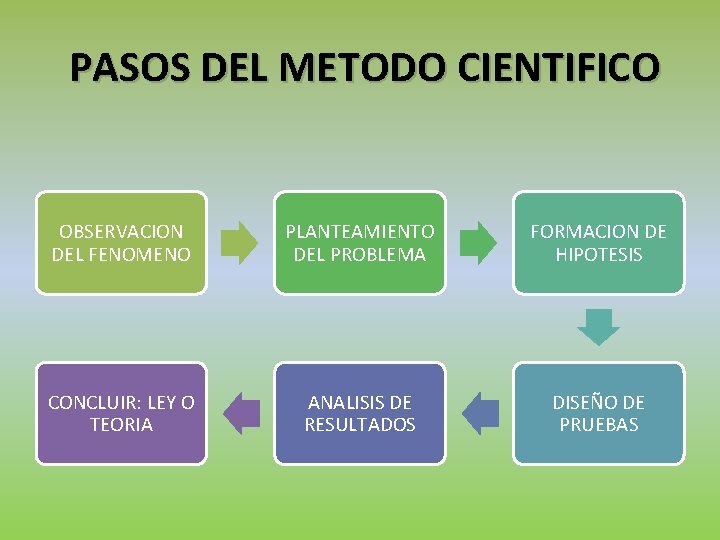 PASOS DEL METODO CIENTIFICO OBSERVACION DEL FENOMENO PLANTEAMIENTO DEL PROBLEMA FORMACION DE HIPOTESIS CONCLUIR: