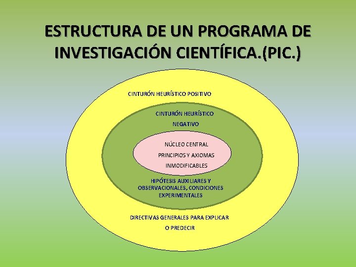 ESTRUCTURA DE UN PROGRAMA DE INVESTIGACIÓN CIENTÍFICA. (PIC. ) CINTURÓN HEURÍSTICO POSITIVO CINTURÓN HEURÍSTICO