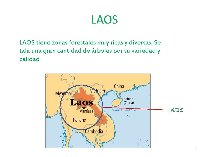 LAOS tiene zonas forestales muy ricas y diversas. Se tala una gran cantidad de