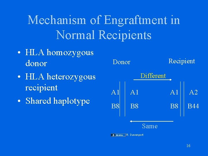 Mechanism of Engraftment in Normal Recipients • HLA homozygous donor • HLA heterozygous recipient