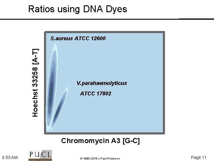 Ratios using DNA Dyes Hoechst 33258 [A-T] S. aureus ATCC 12600 V. parahaemolyticus ATCC