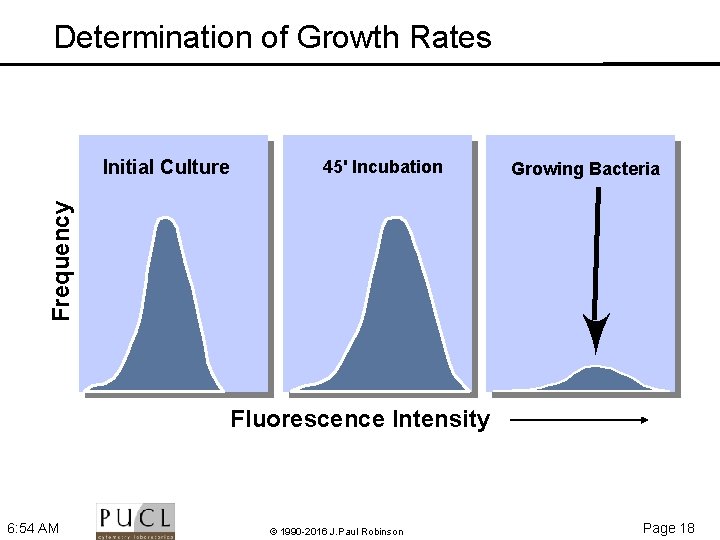 Determination of Growth Rates 45' Incubation Growing Bacteria Frequency Initial Culture Fluorescence Intensity 6: