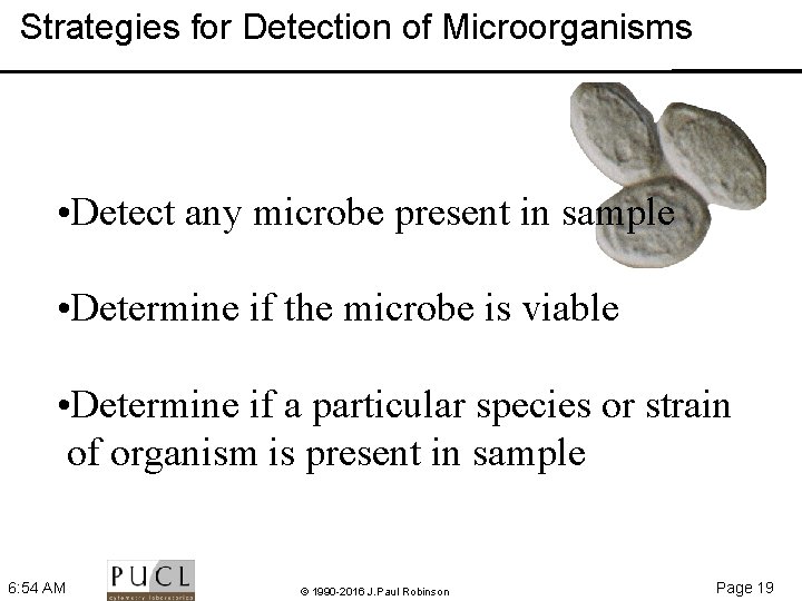 Strategies for Detection of Microorganisms • Detect any microbe present in sample • Determine