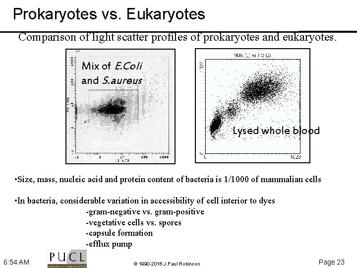 Prokaryotes vs. Eukaryotes Comparison of light scatter profiles of prokaryotes and eukaryotes. FS Mix