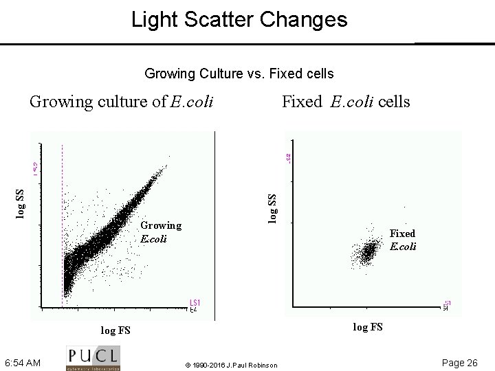 Light Scatter Changes Growing Culture vs. Fixed cells Growing E. coli Fixed E. coli